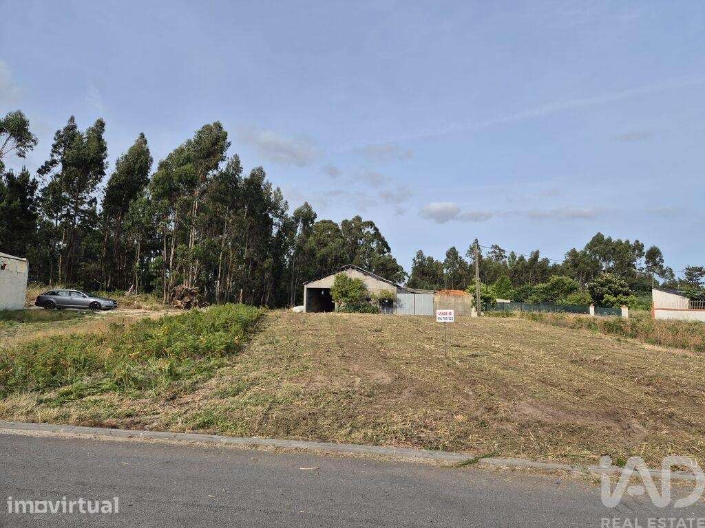 Terreno Agrícola em Ponte de Vagos e Santa Catarina - Grande imagem: 3/13