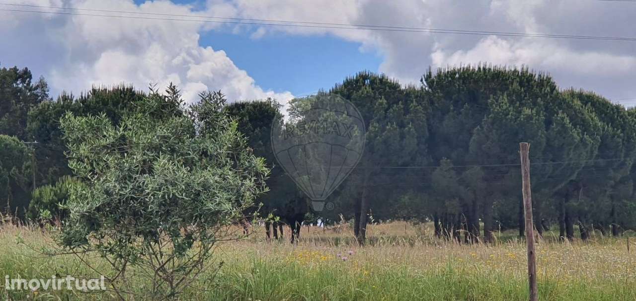 Terreno  para venda - Grande imagem: 4/4