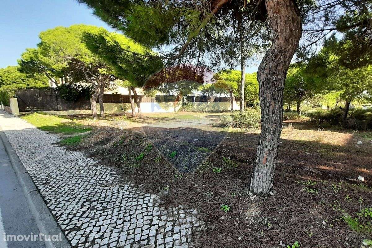 Terreno  para venda - Grande imagem: 5/13