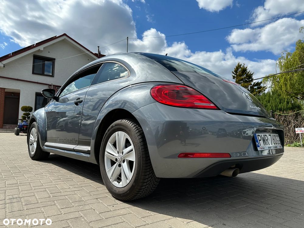 Volkswagen Beetle - 32
