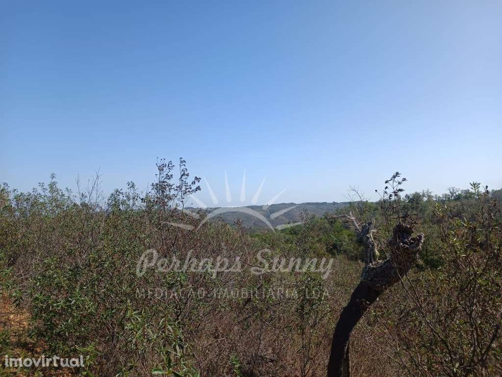 Terreno 14ha Santa Margarida da Serra - Grande imagem: 2/15