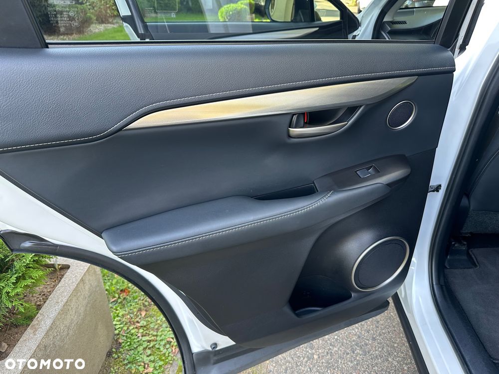 Lexus NX - 19