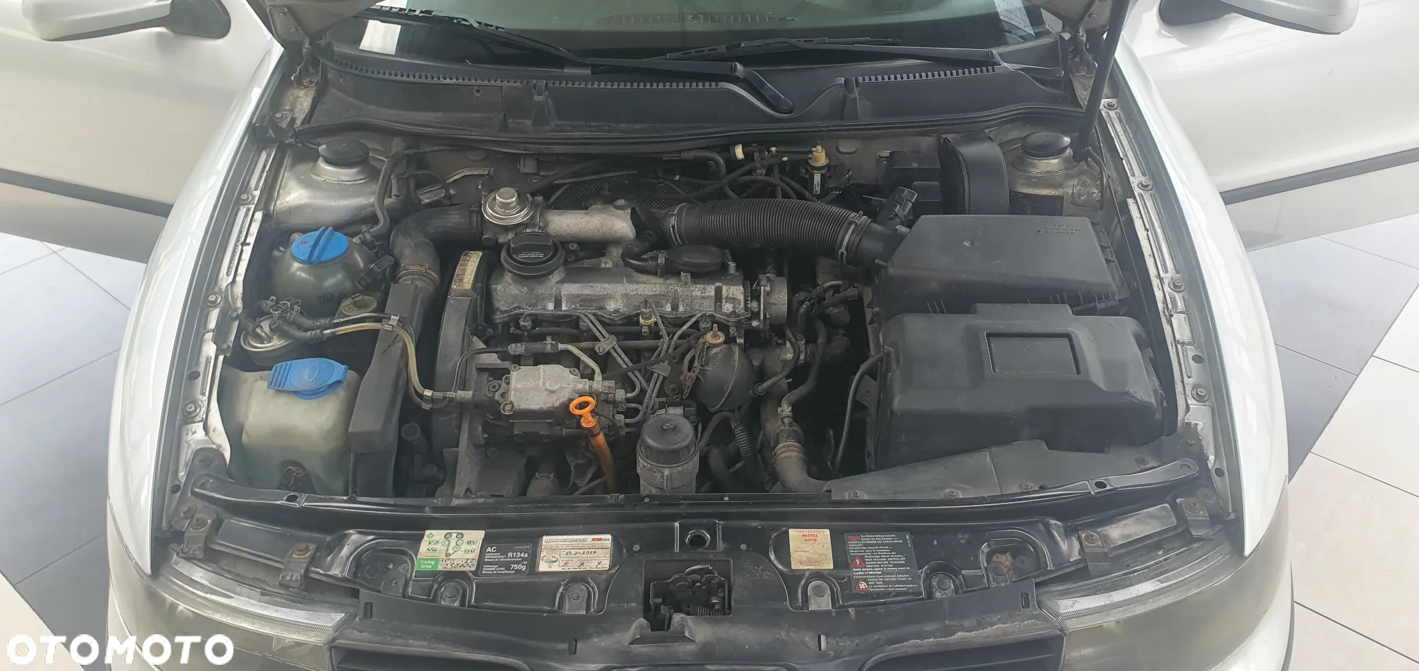 Seat Leon 1.9 TDI Signo - 8
