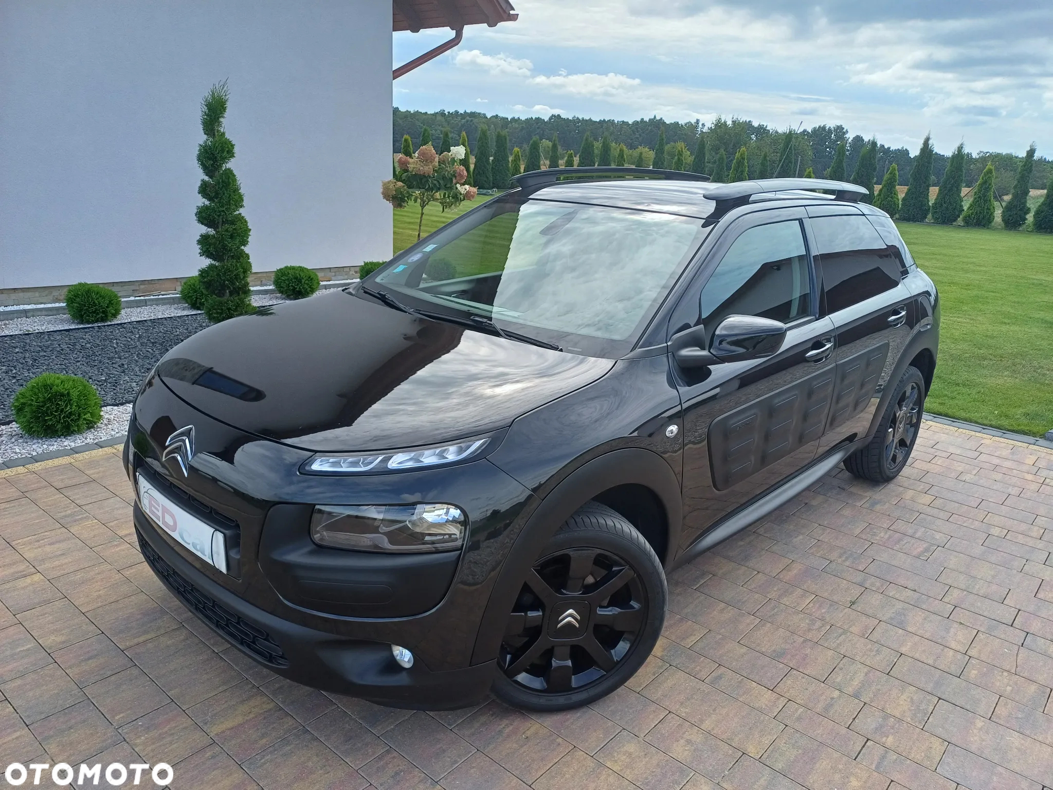 Citroën C4 Cactus 1.2 PureTech Shine - 5