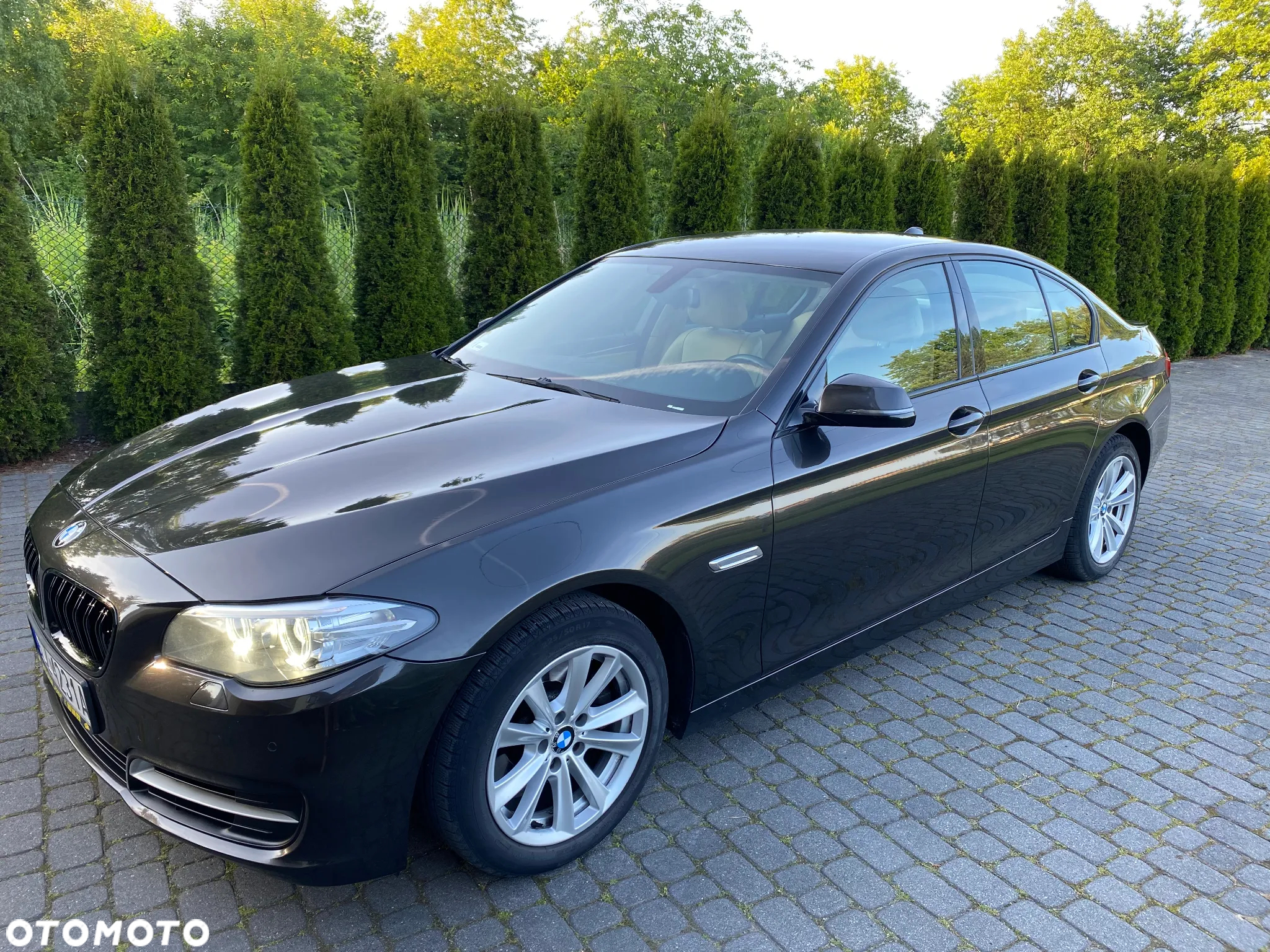 BMW Seria 5 520d - 7