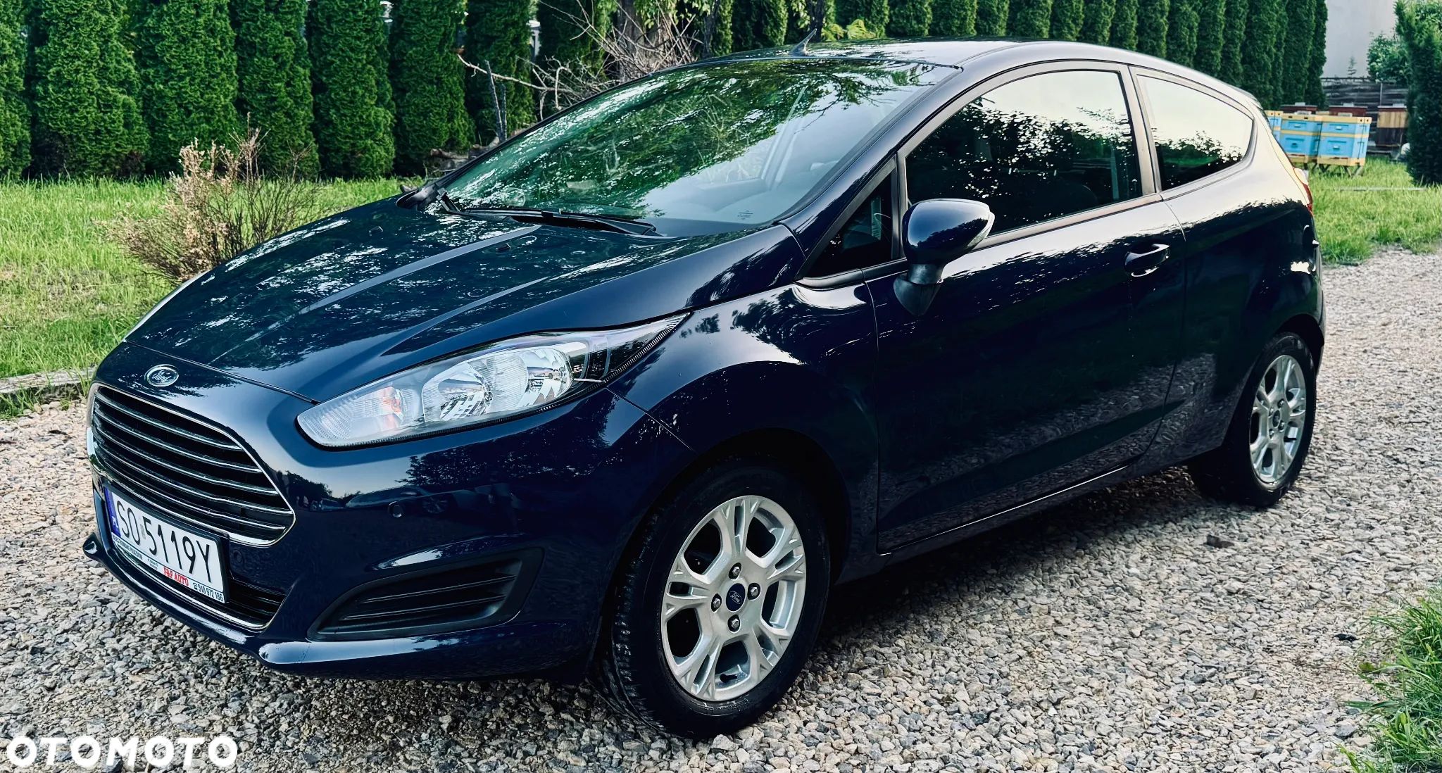 Ford Fiesta - 1
