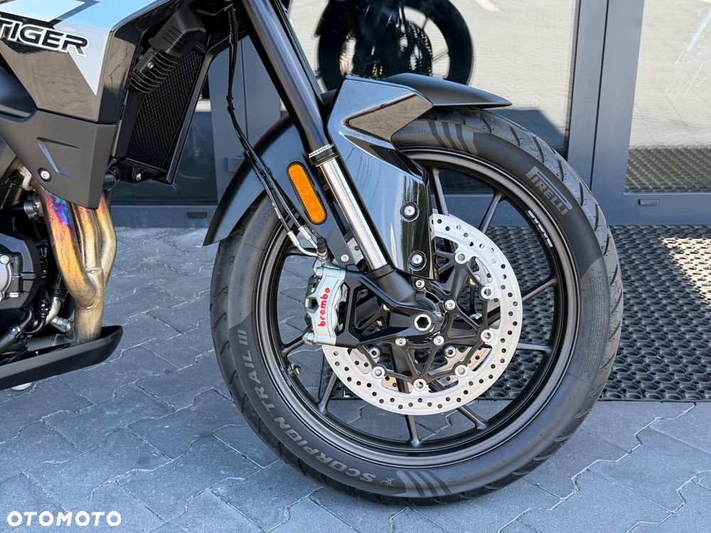 Triumph Tiger - 9