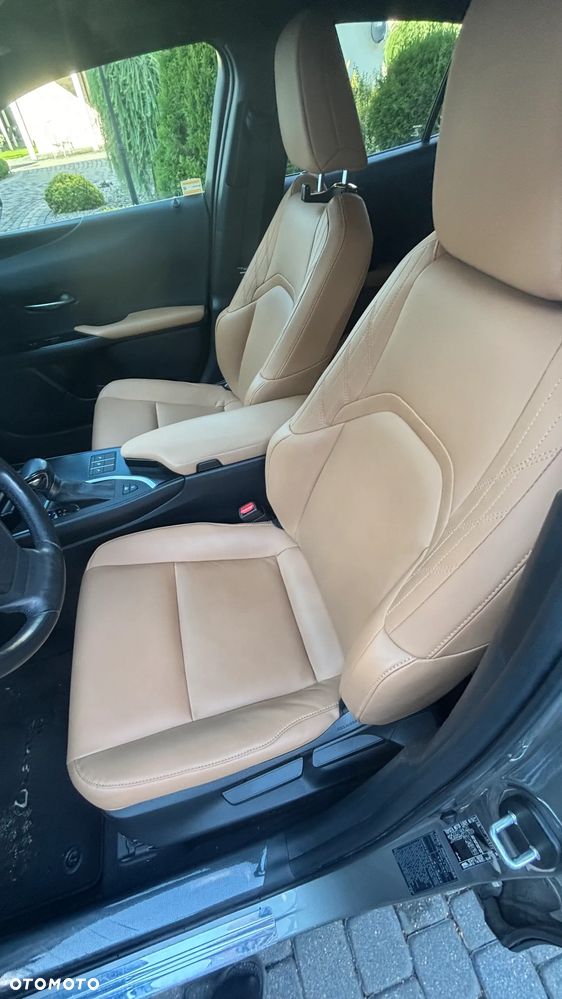 Lexus UX 250h GPF F Sport Design 2WD - 14