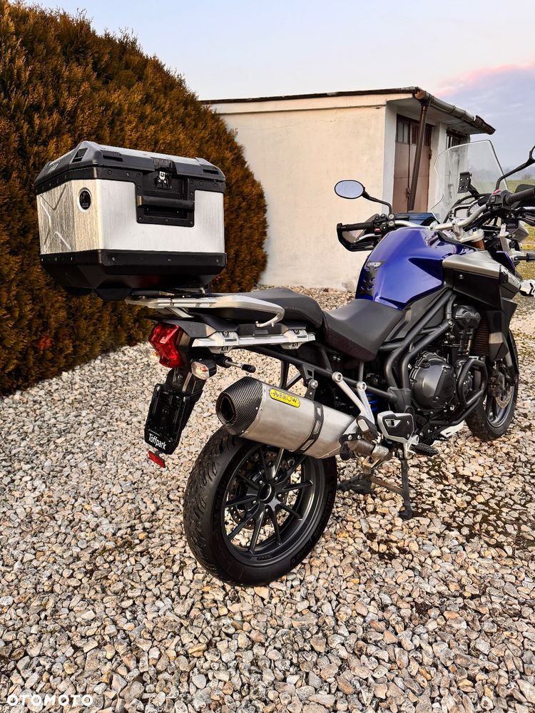 Triumph Tiger - 16