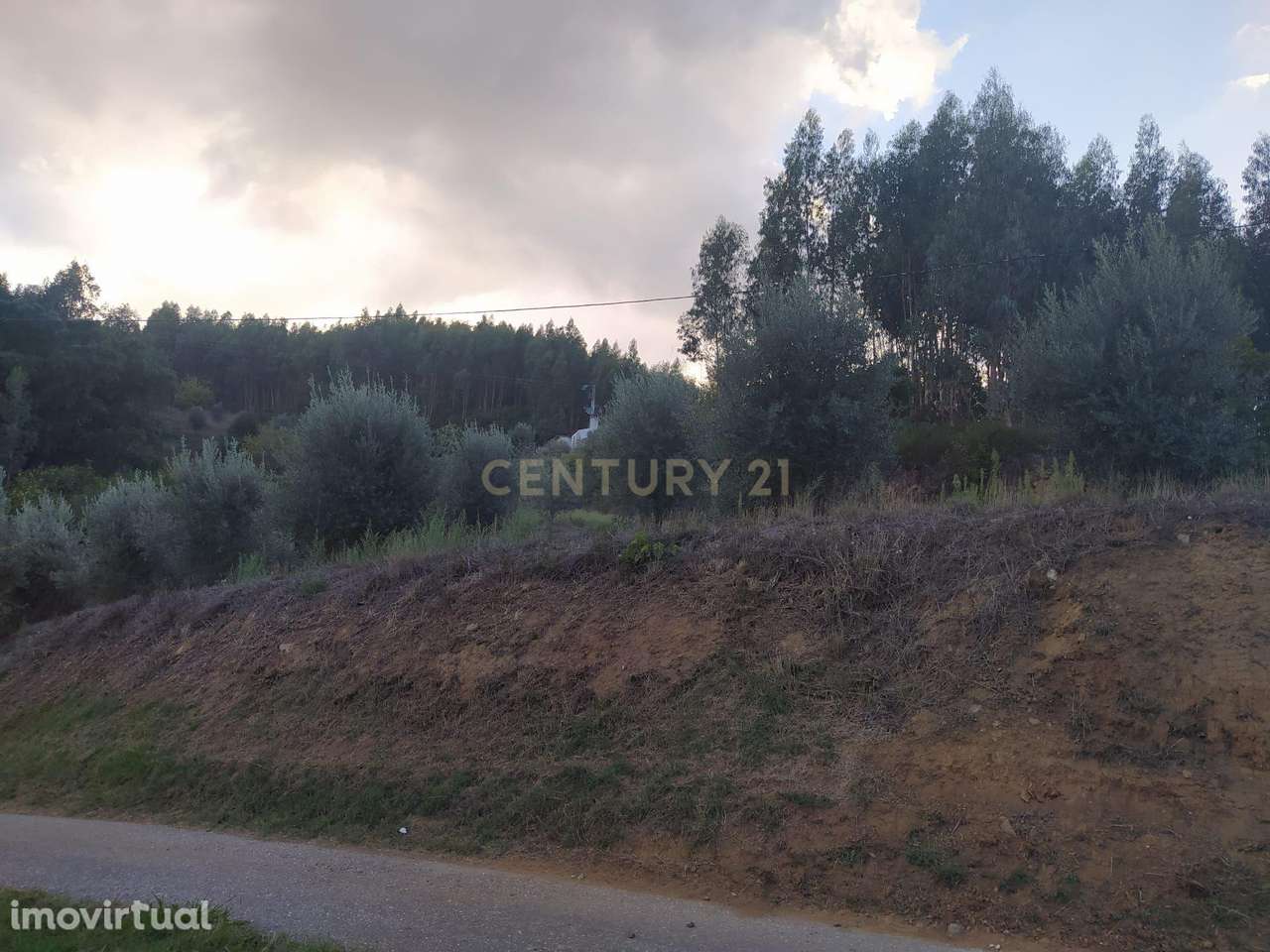 Terreno de 1 HECTARE - Ferreira do Zezere - Grande imagem: 4/6