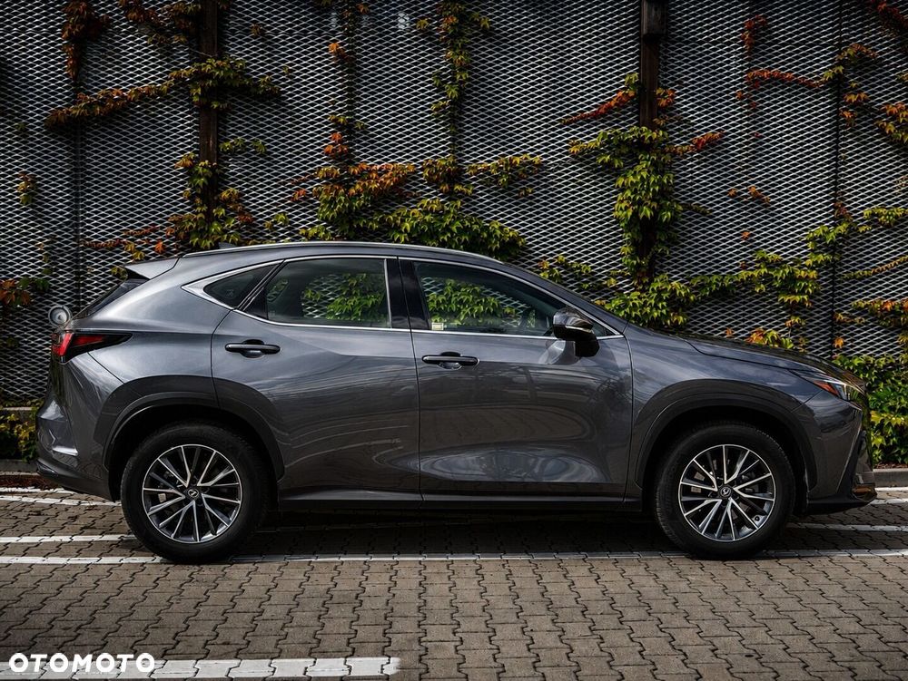 Lexus NX 350h Elegance 2WD - 12
