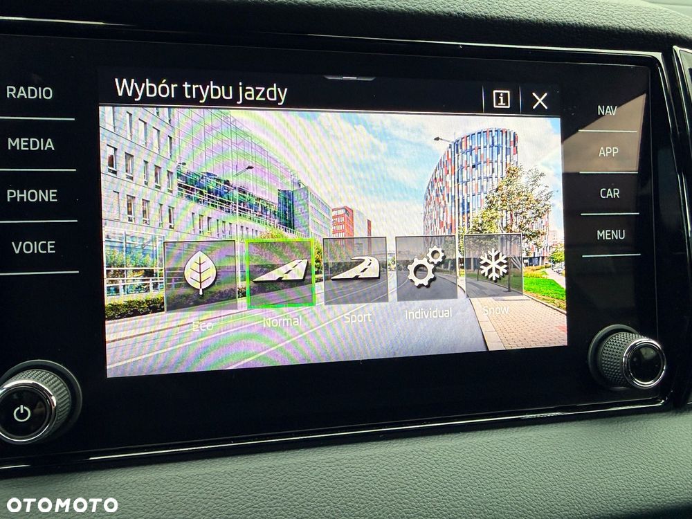 Skoda Karoq 2.0 TSI 4x4 Sportline DSG - 34