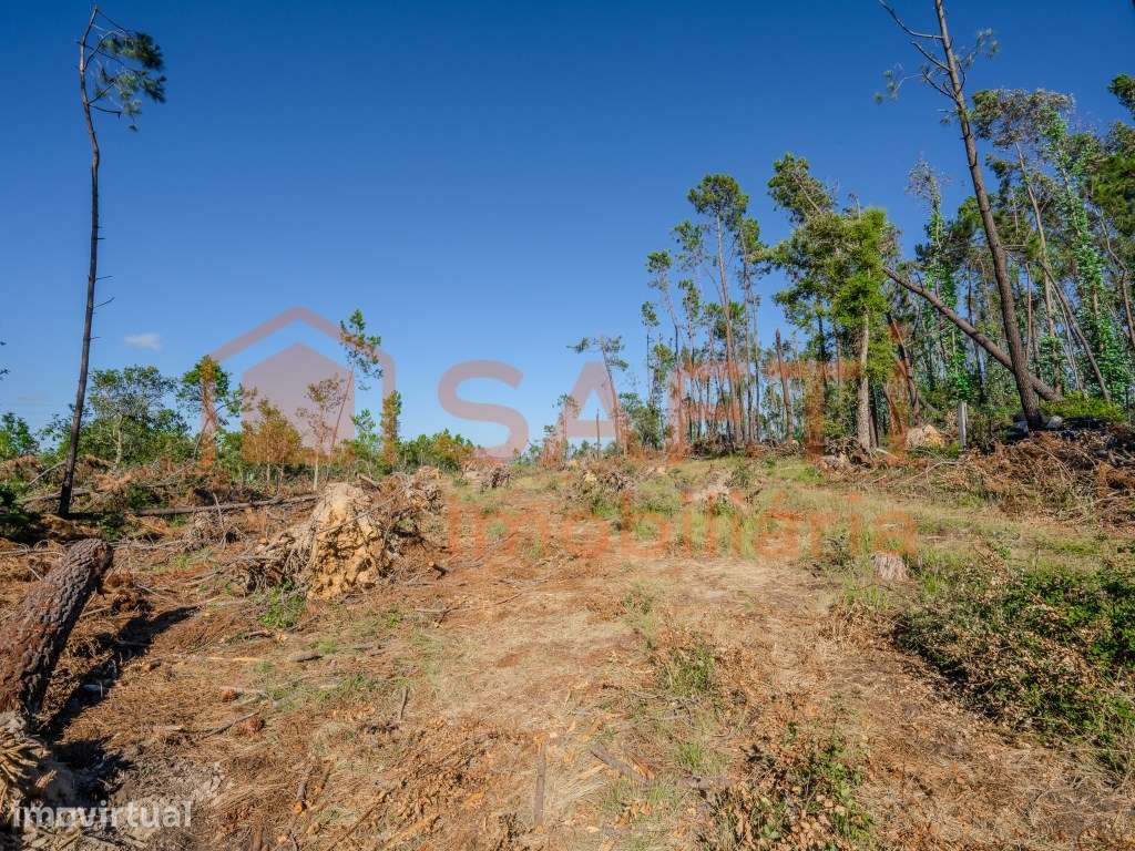 Terreno para construção - Grande imagem: 3/12