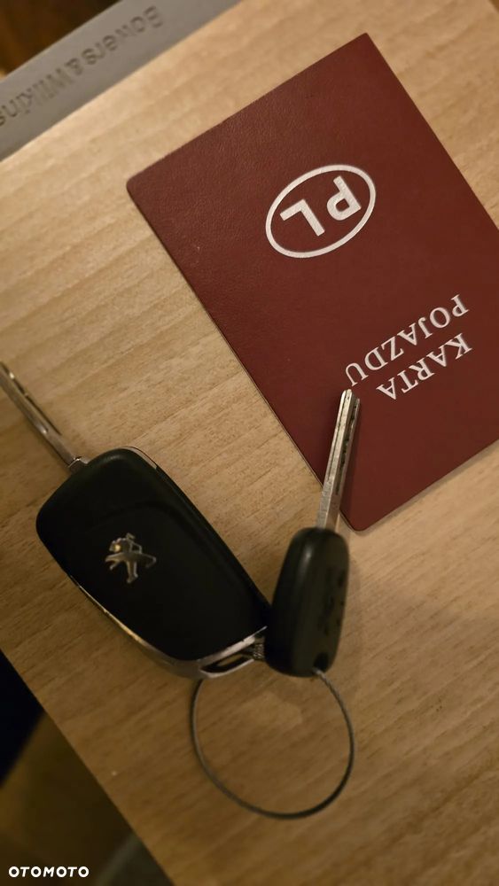 Peugeot 207 - 17
