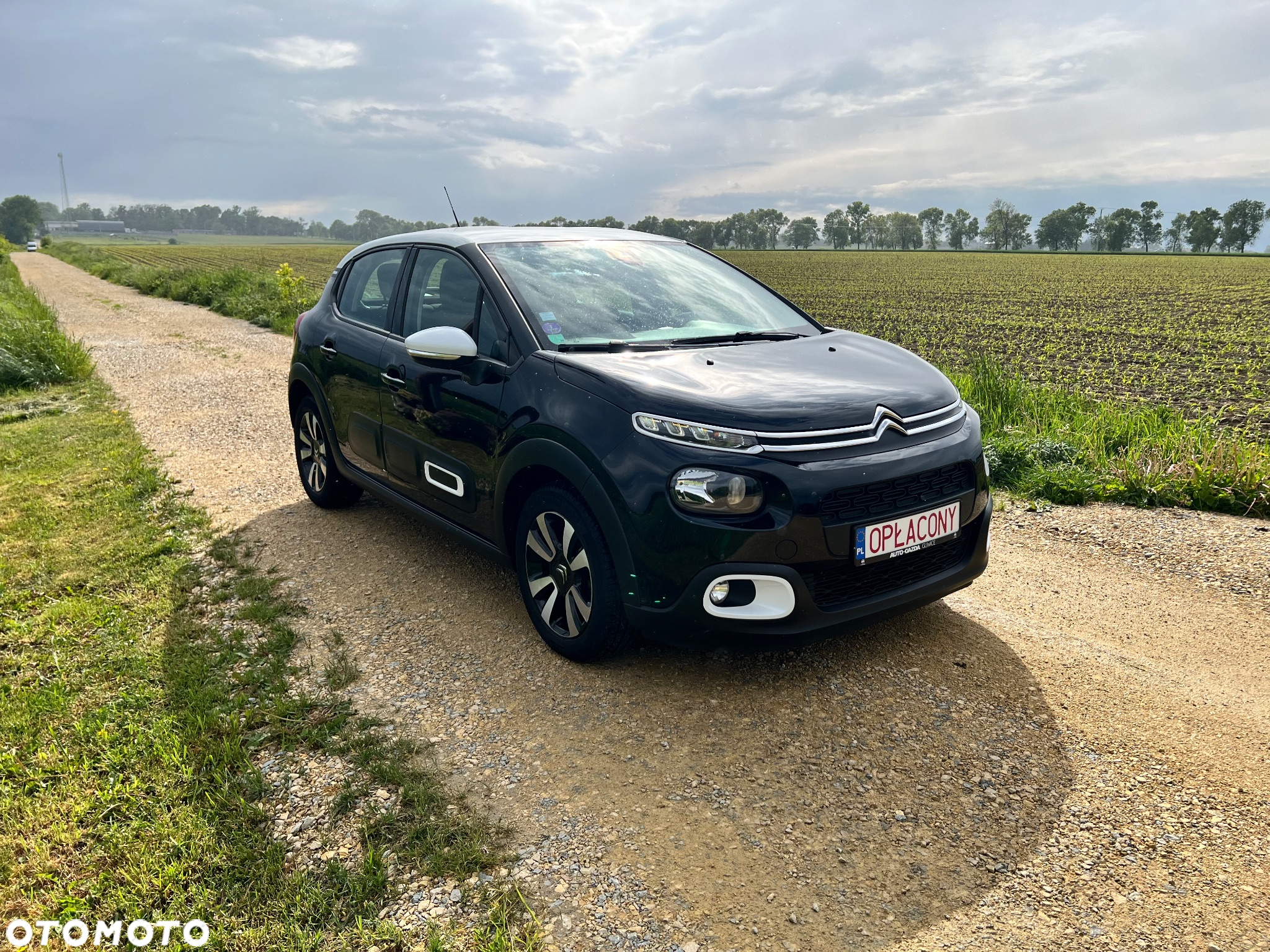 Citroën C3 1.2 PureTech GPF Shine S&S EAT6 - 2