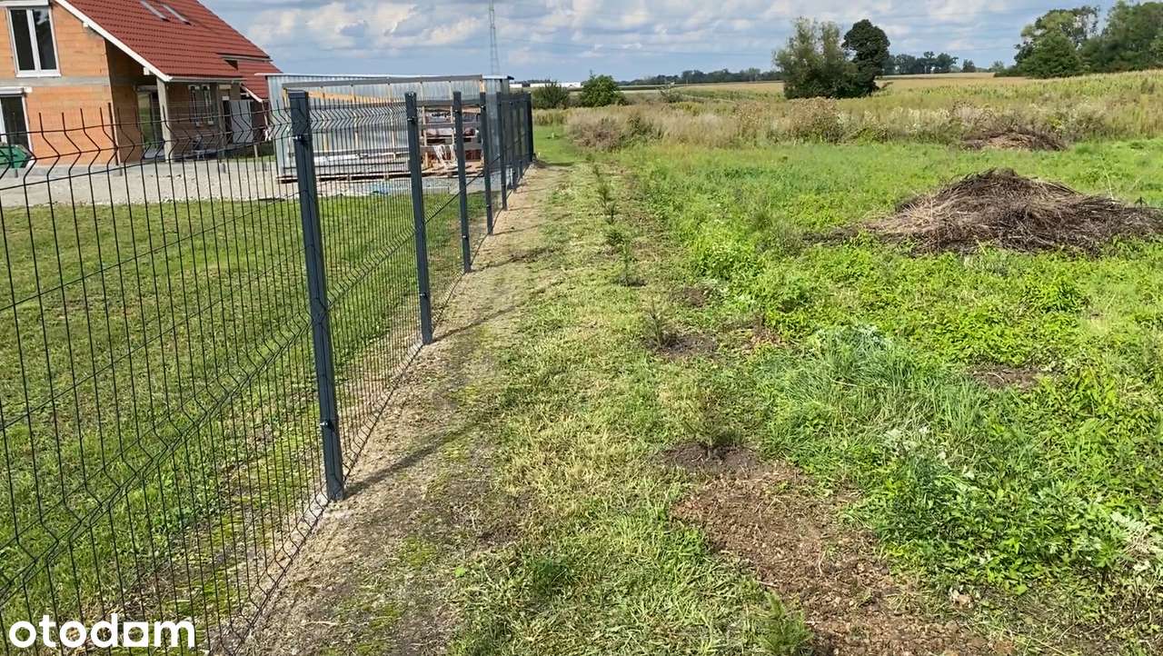 Działka 900 m² Polakowice – prąd, cisza, szybki dojazd do Wrocławia - Pełny obrazek: 2/6