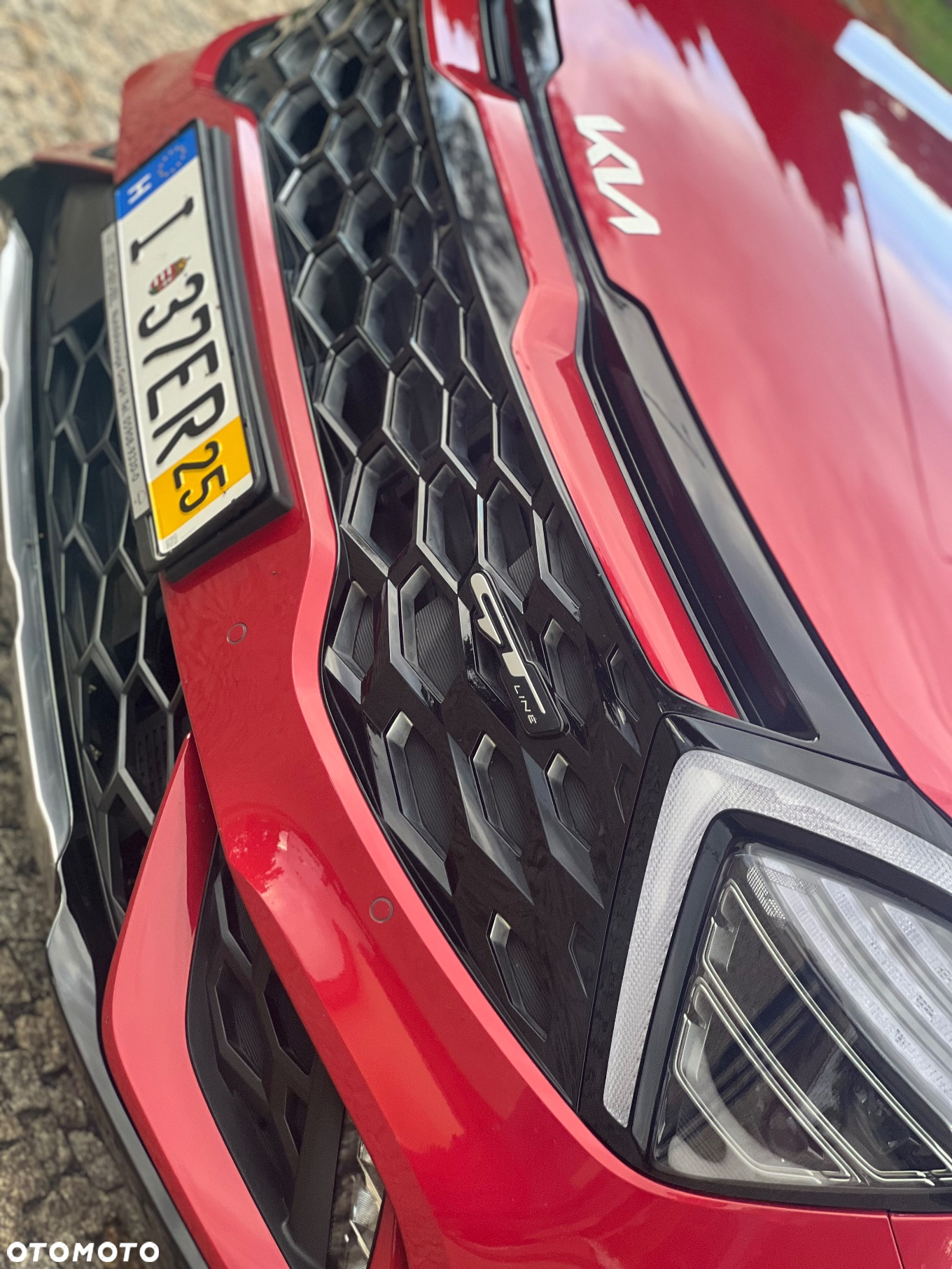 Kia Sportage 1.6 T-GDI PHEV Anniversary 4WD - 10