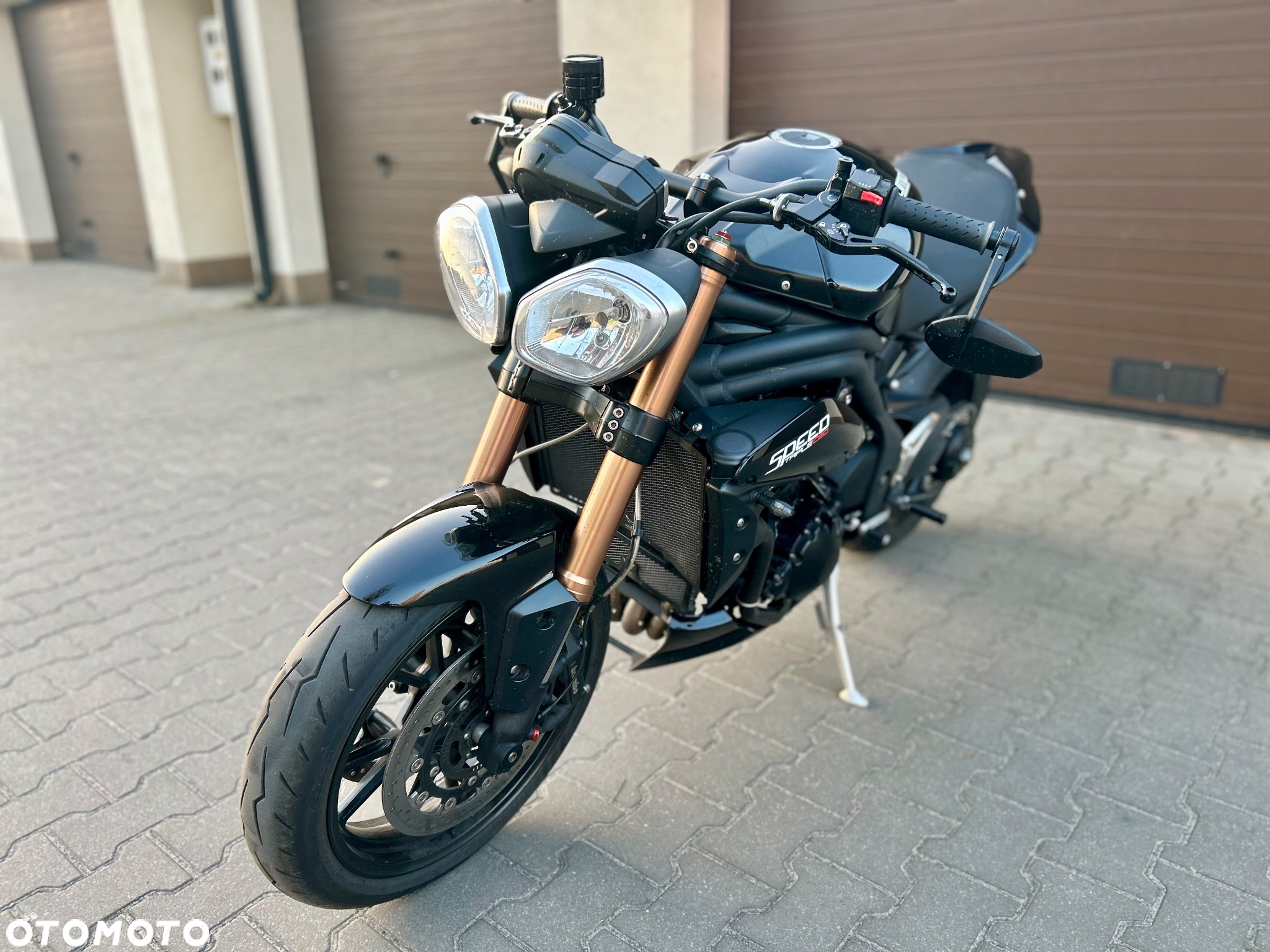Triumph Speed Triple - 13