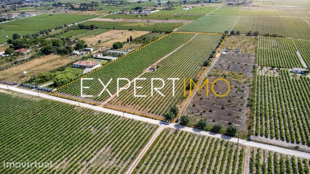 Terreno Rústico de 28.500 m² com vinha e potencial de construção - Grande imagem: 3/8