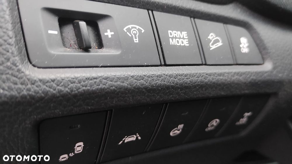 Hyundai Santa Fe 2.2 CRDi Platinium 4WD - 35