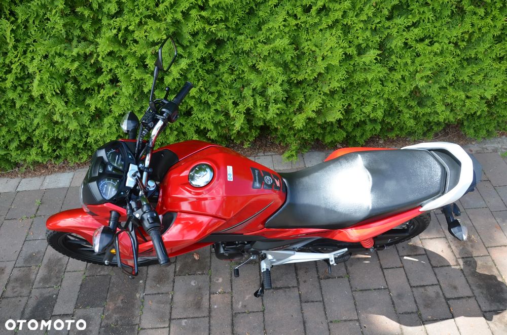 Honda CBF - 11