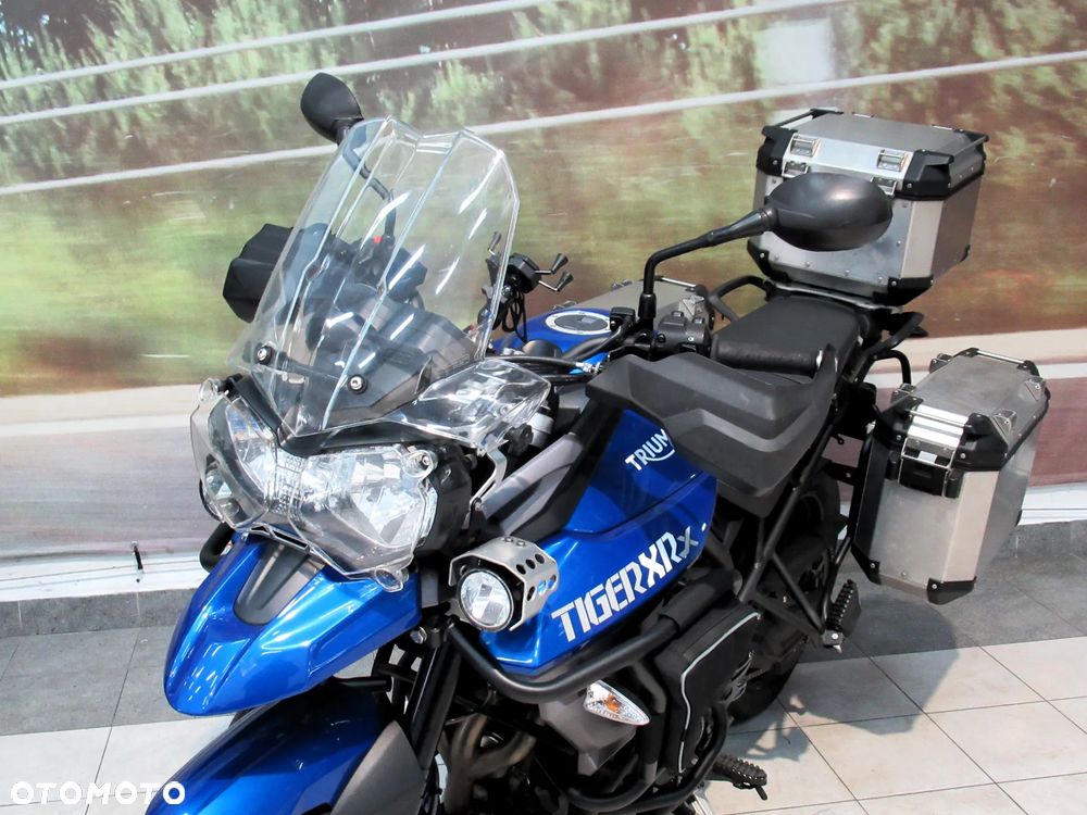 Triumph Tiger - 9