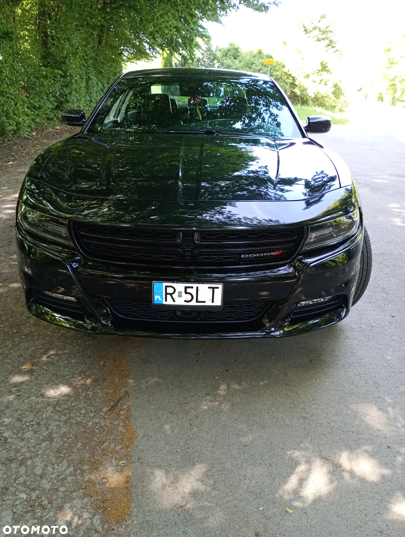 Dodge Charger 3.6 GT - 17