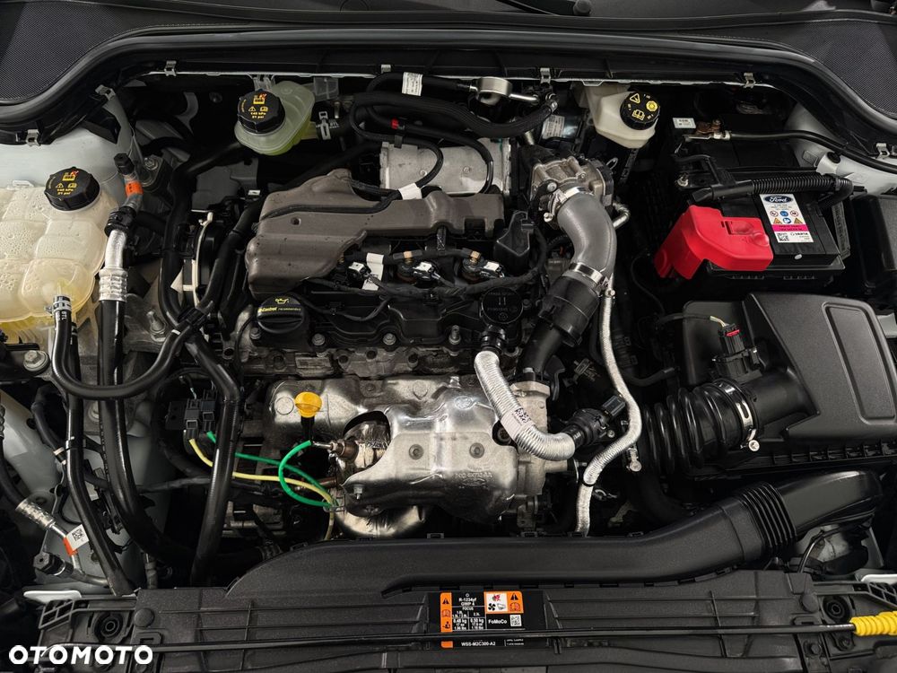 Ford Focus - 31