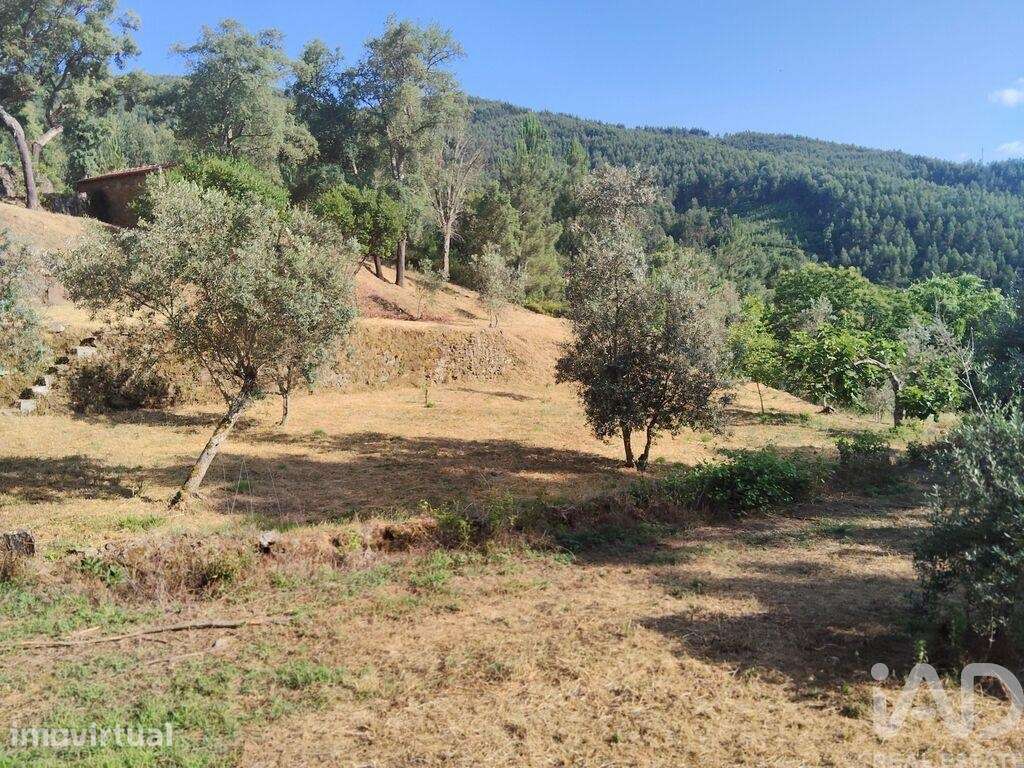 Terreno em Pedrógão Pequeno de 3600,00 m2 - Grande imagem: 5/23