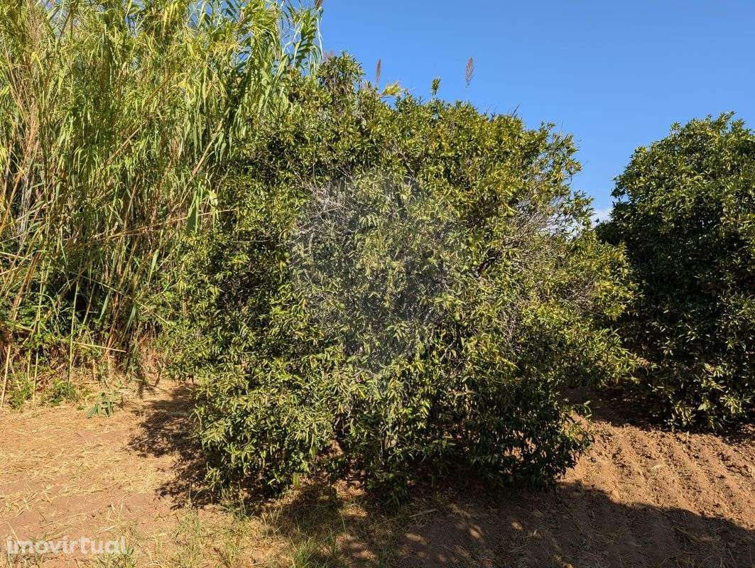 Terreno  para venda - Grande imagem: 2/4