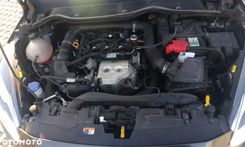 Ford Fiesta Vignale 1.0 EcoBoost GPF ASS - 13