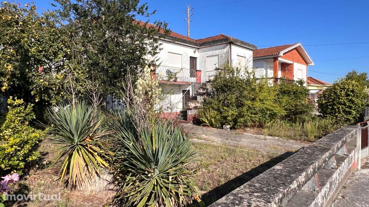 Moradia T5  com 238 m2 | Terreno 2.214 m2 | Vagos, Aveiro - Grande imagem: 2/23