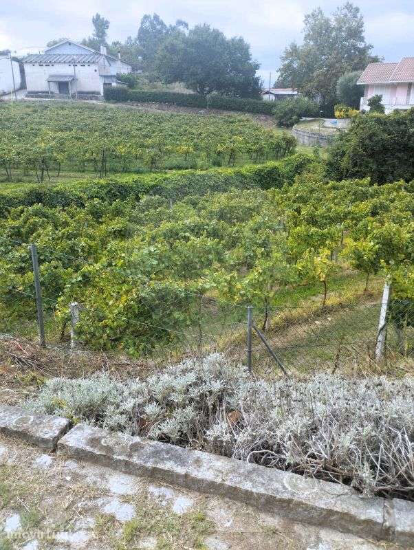 Terreno  para venda - Grande imagem: 2/5