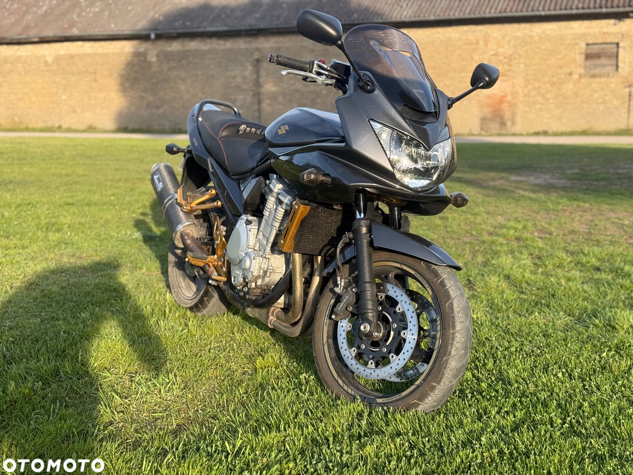 Suzuki Bandit - 3