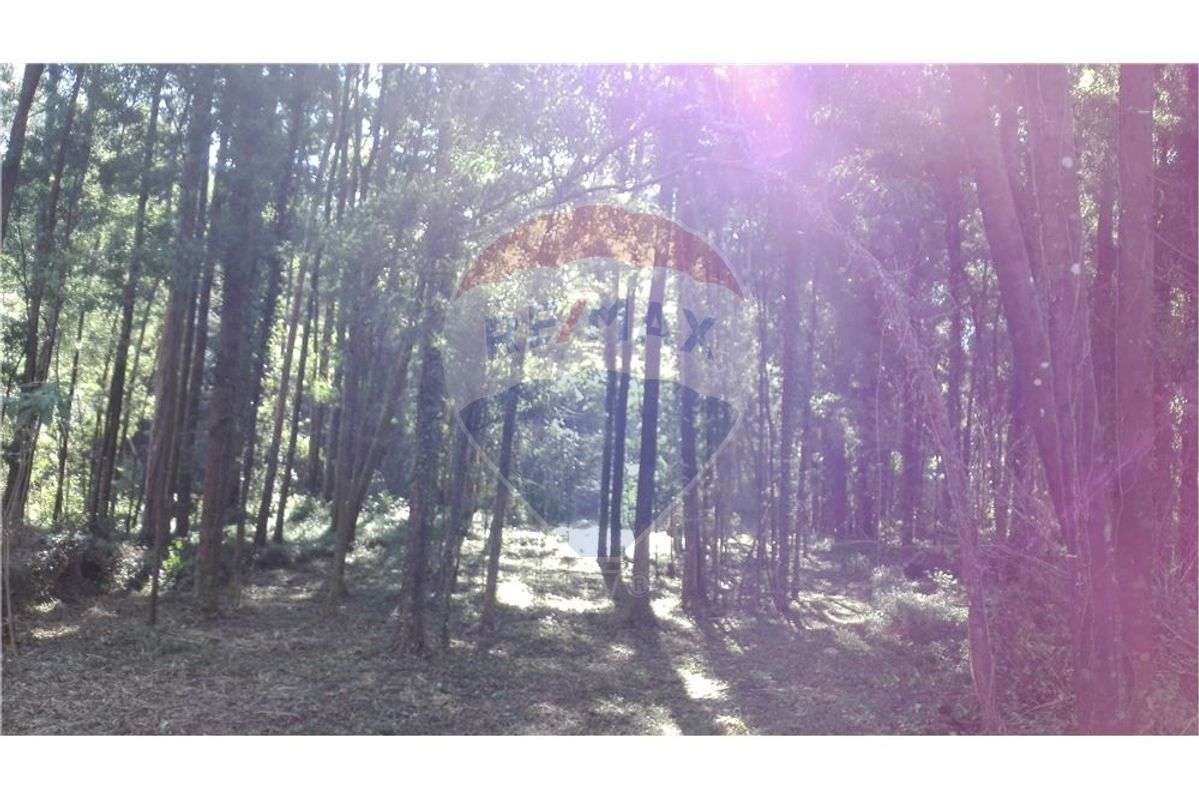 Terreno T0 para venda - Grande imagem: 3/6