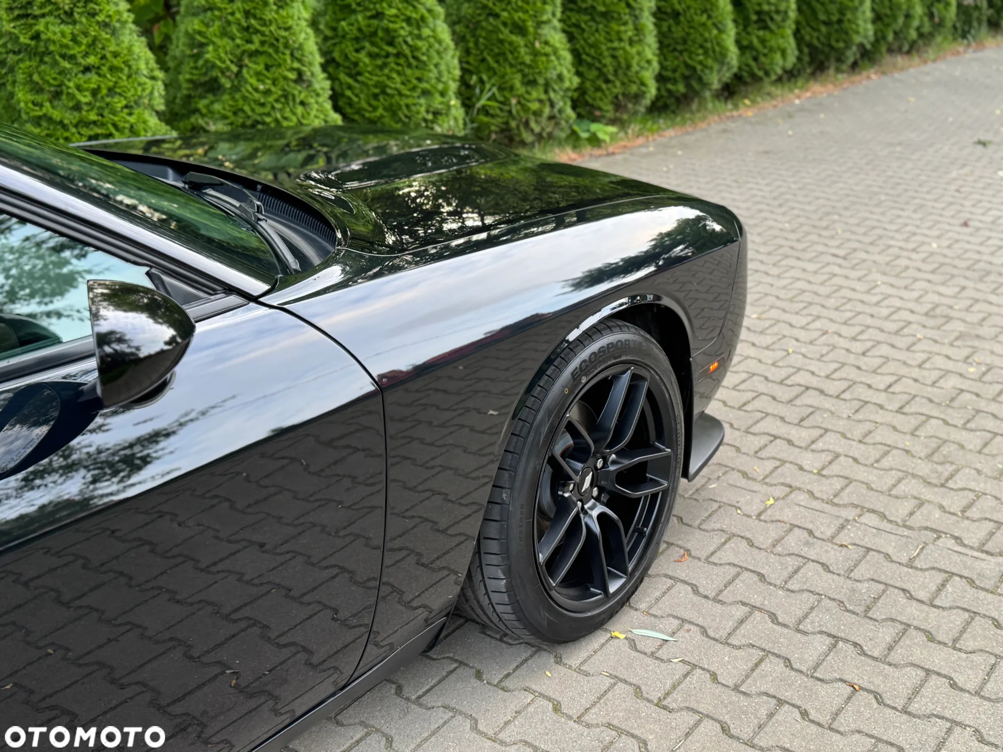 Dodge Challenger Automatik R/T Plus - 17