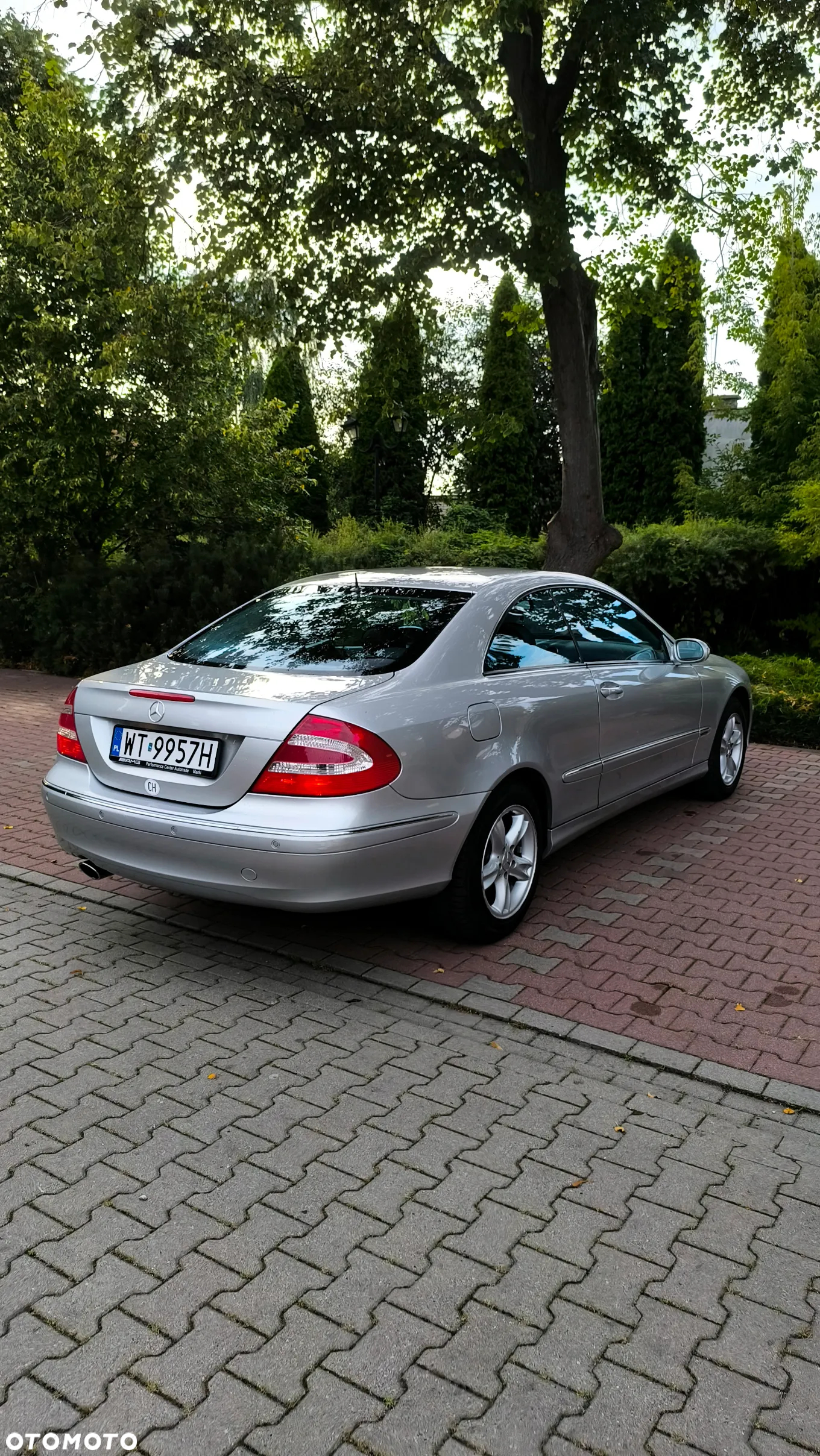 Mercedes-Benz CLK - 19