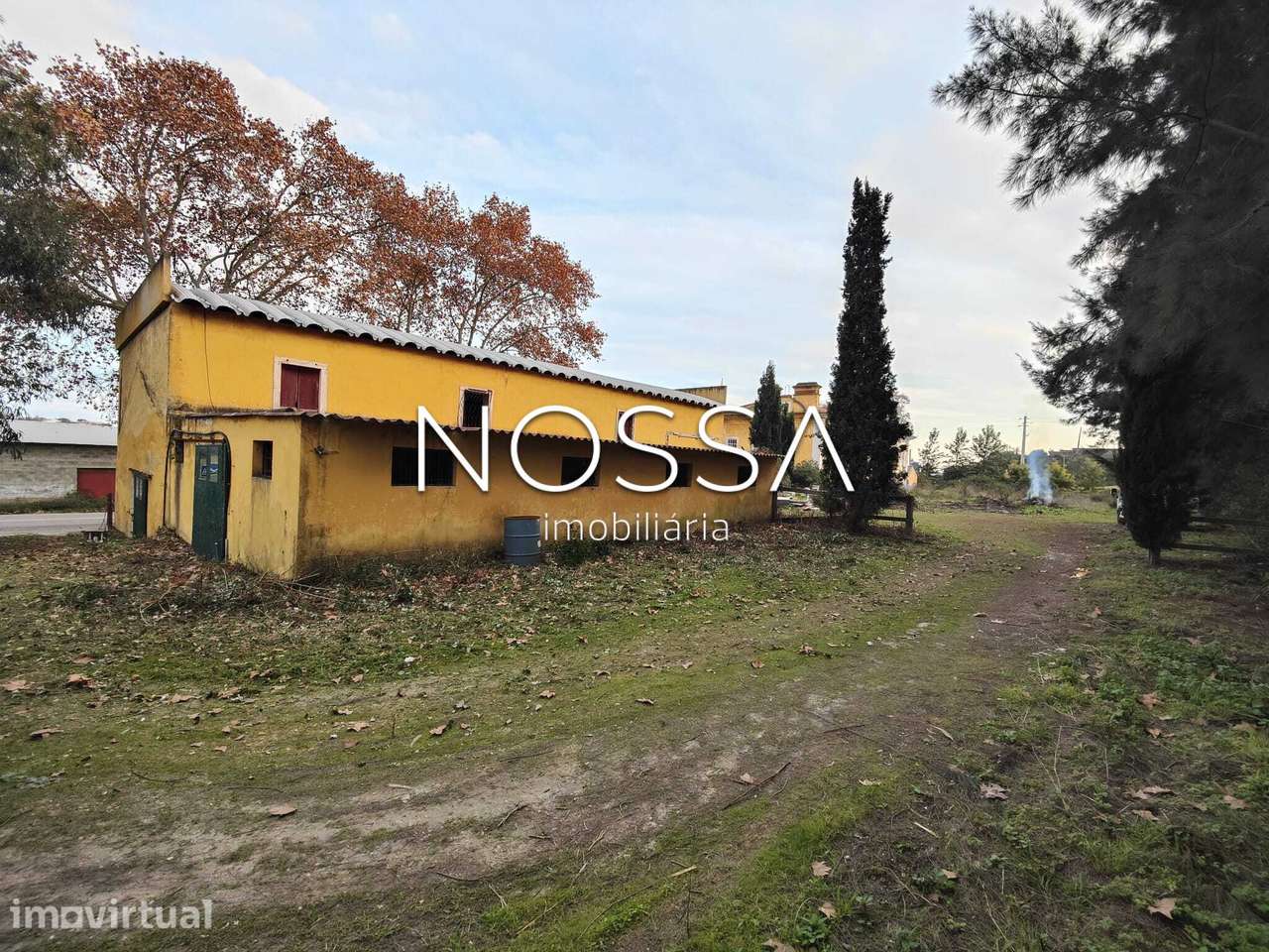 Quinta do Perú, Torres Novas — casa senhorial, antiga adega e 4.000... - Grande imagem: 2/30