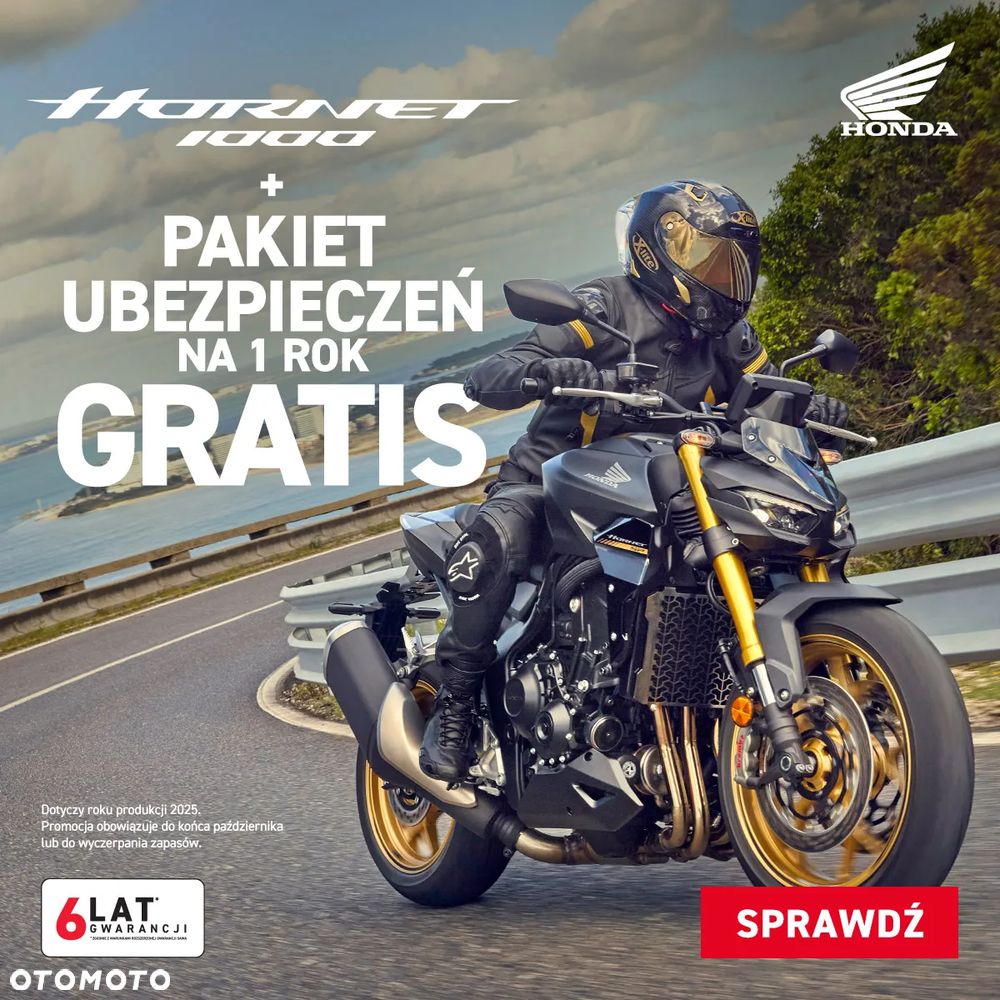 Honda Hornet - 1