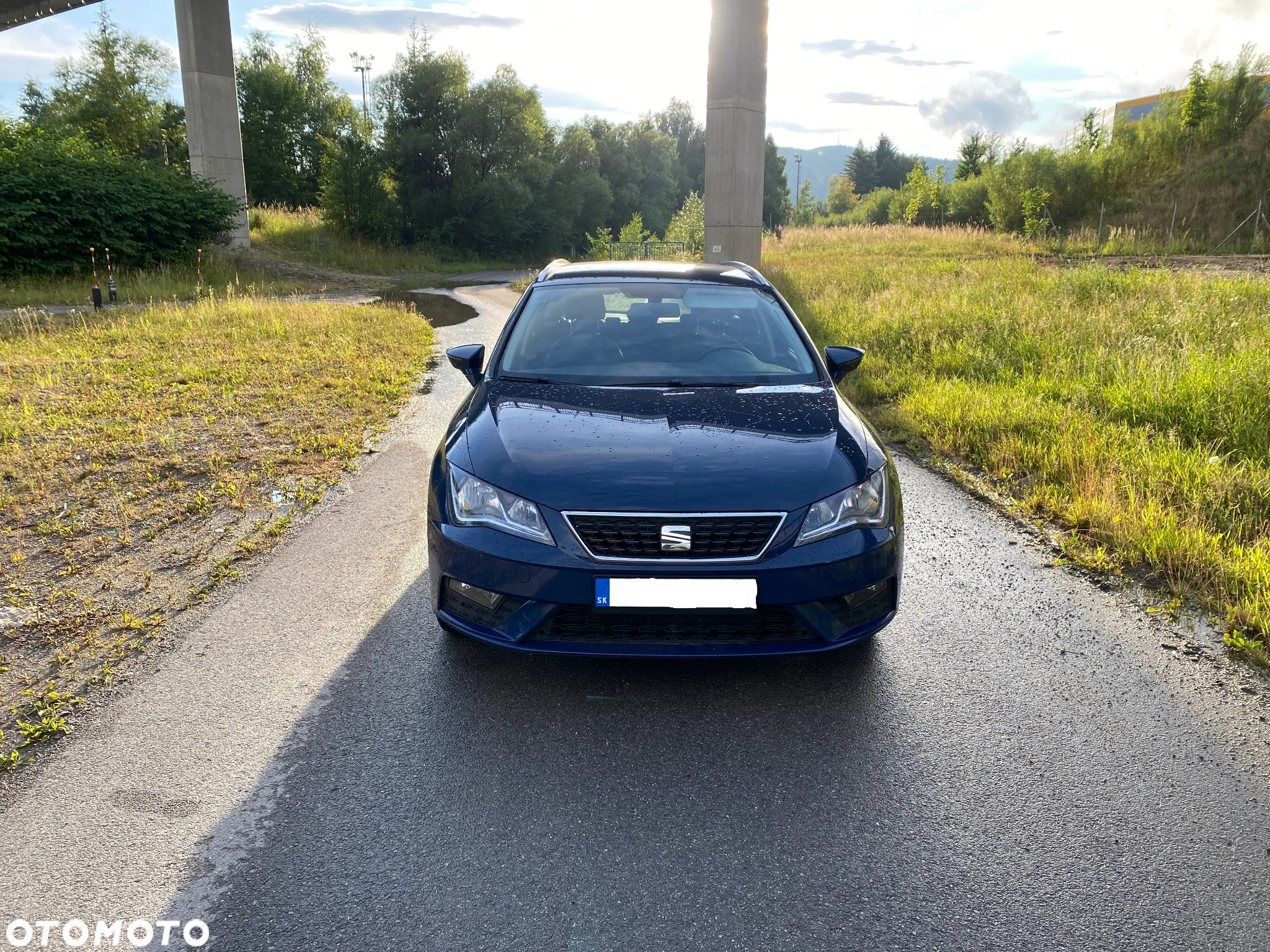 Seat Leon - 3