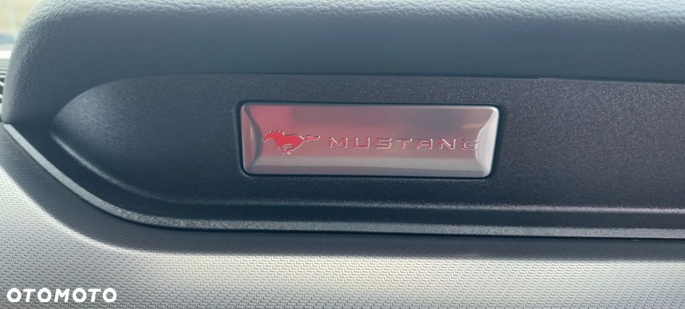 Ford Mustang - 19