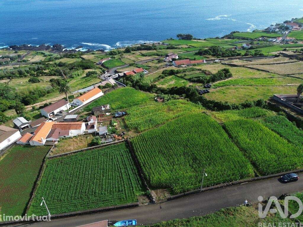 Terreno Agrícola em Ribeiras - Grande imagem: 4/19