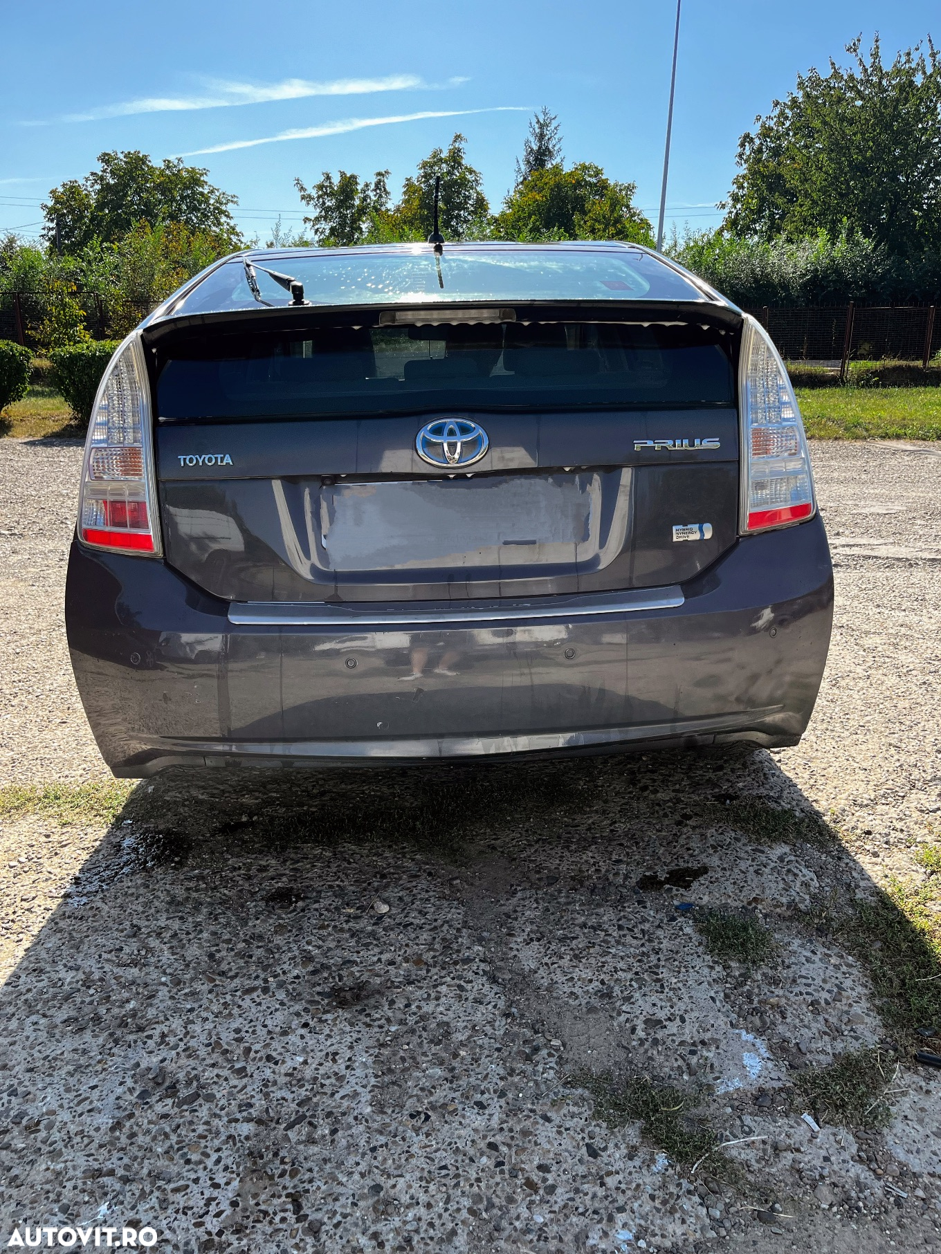 Toyota Prius (Hybrid) Luna - 10
