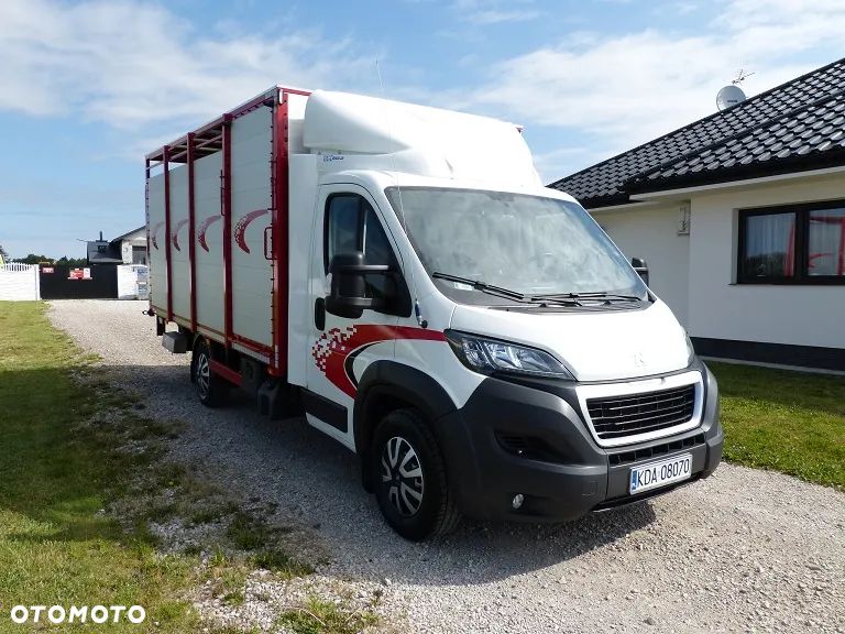 Peugeot BOXER DO ŻYWCA / ZWIERZĄT / BYDŁA / TRZODY CHLEWNEJ / EURO 6 / KAT. B / STAN PERFECT - 13