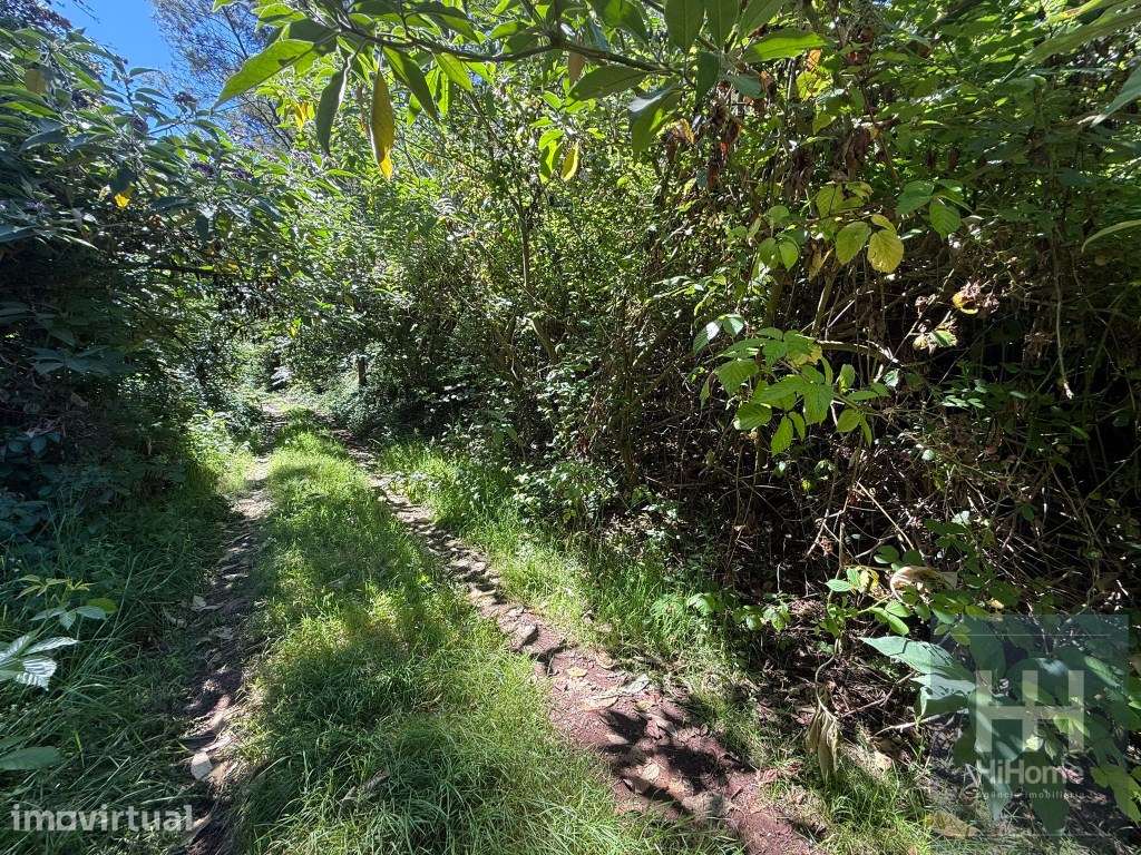 Terreno plano com 1.240 m² em São Jorge - Grande imagem: 4/9
