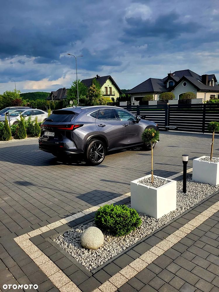 Lexus NX 350h Prestige AWD - 13