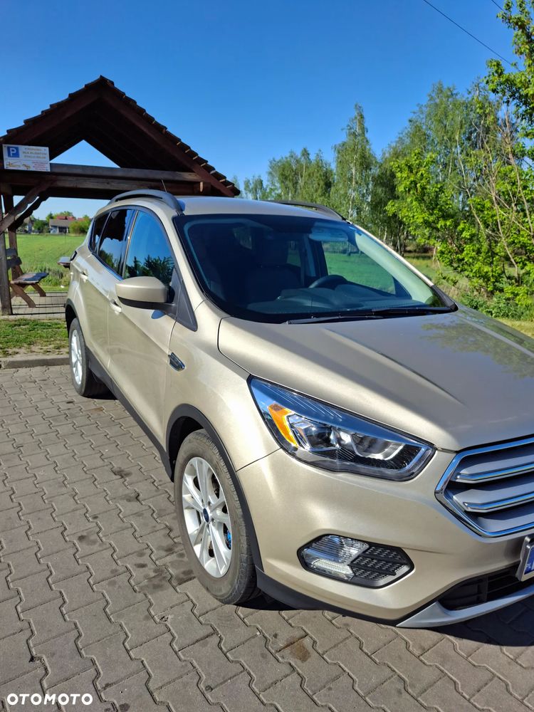 Ford Escape - 8