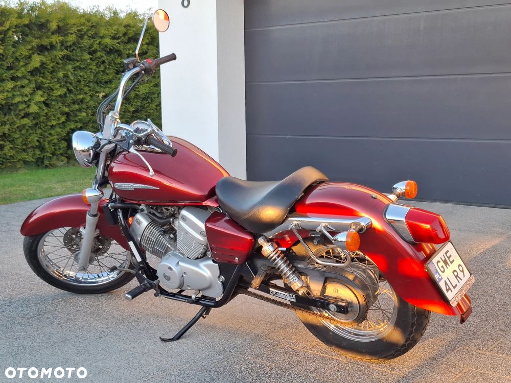 Honda Shadow - 4