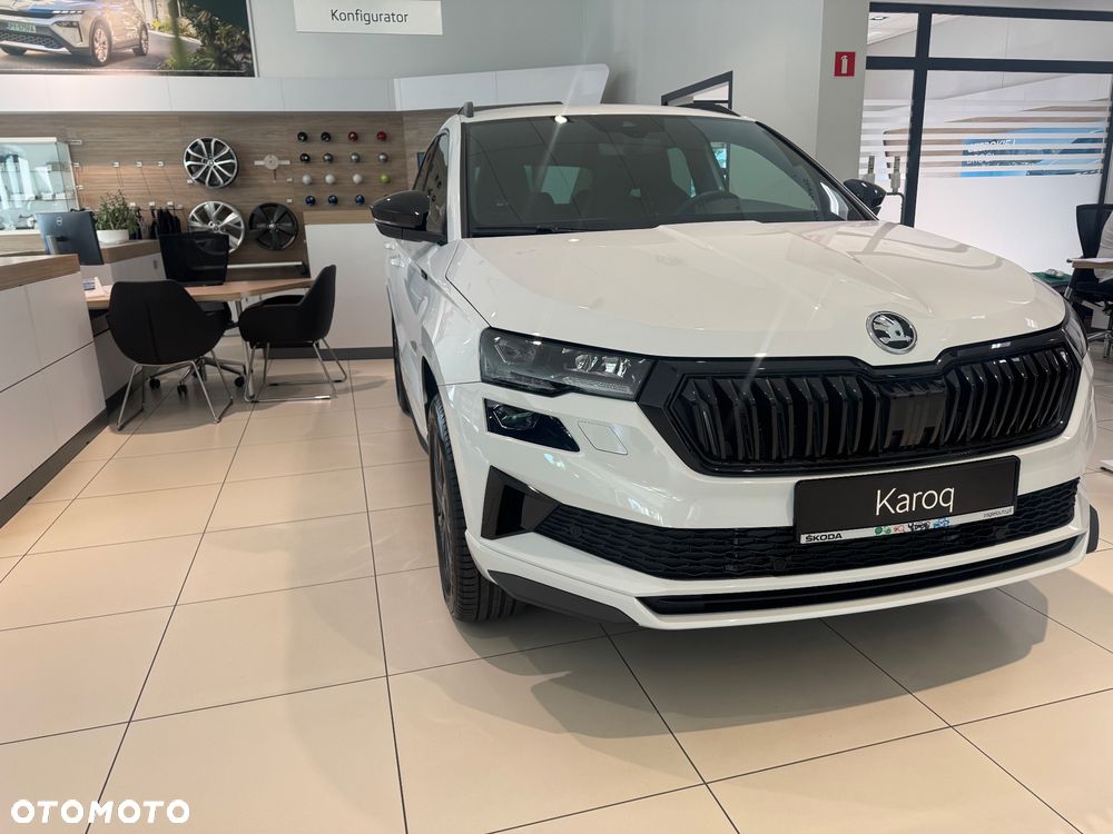 Skoda Karoq - 2