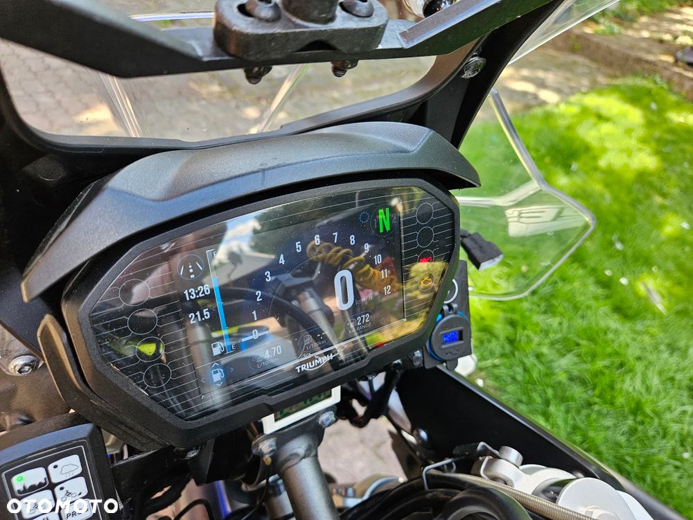 Triumph Tiger - 9